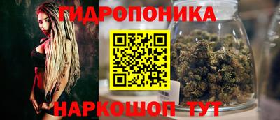 ГАЛЛЮЦИНОГЕННЫЕ ГРИБЫ Кунгур