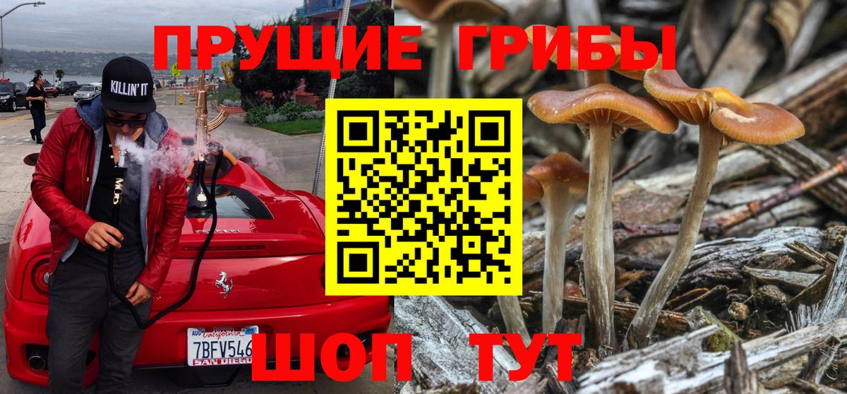 Урай  Галлюциногенные грибы ЛСД  где продают наркотики  Вход с VPN 